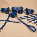 Productfoto: Leren harnas- en boeienset