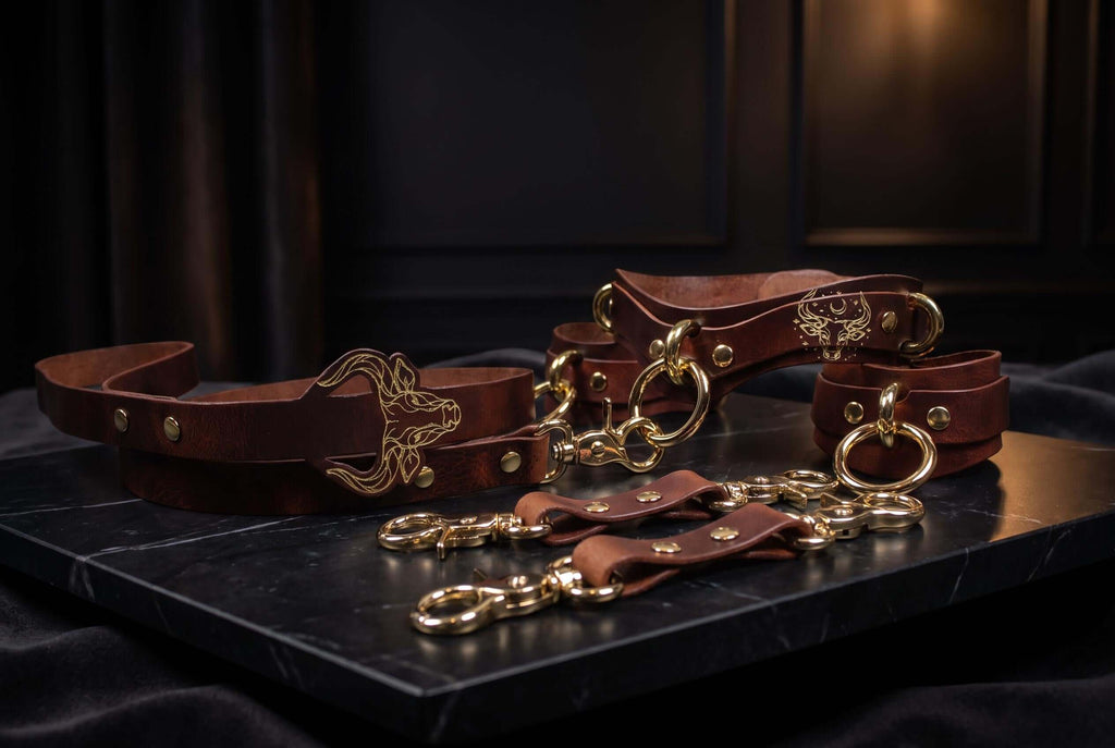 Leren accessoiresset – Halsband, lijn en boeien met stierenmotief