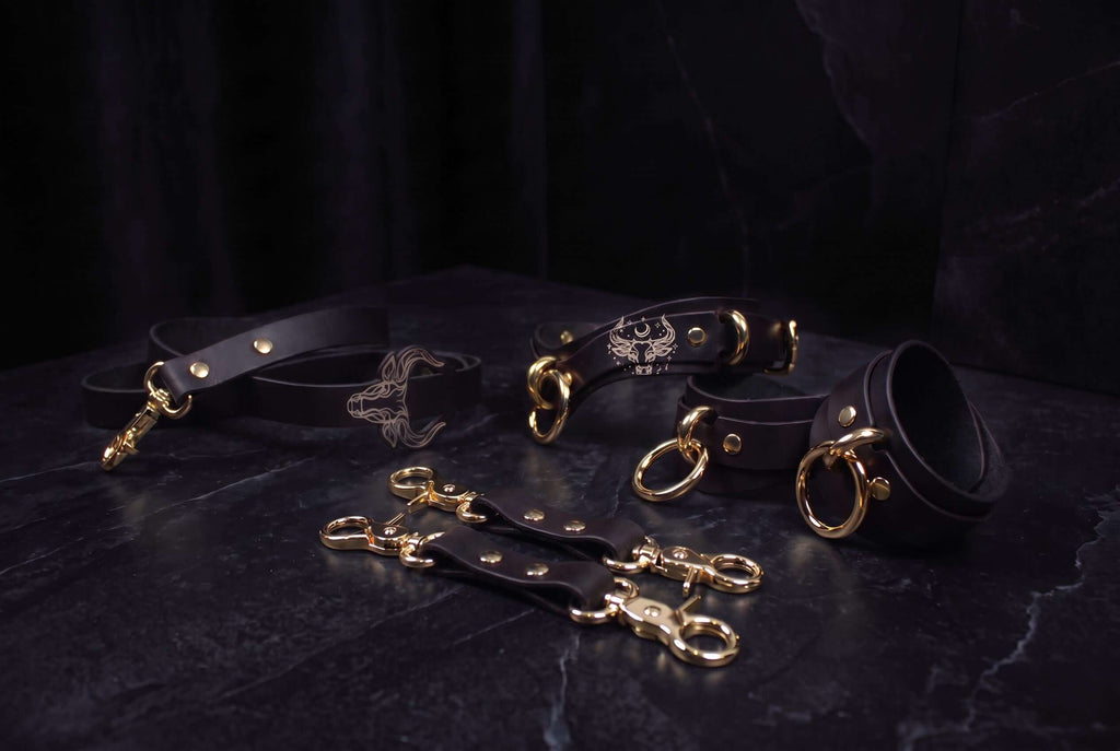 Leren accessoiresset – Halsband, lijn en boeien met stierenmotief