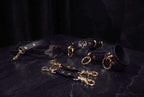 Leren accessoiresset – Halsband, lijn en boeien met stierenmotief