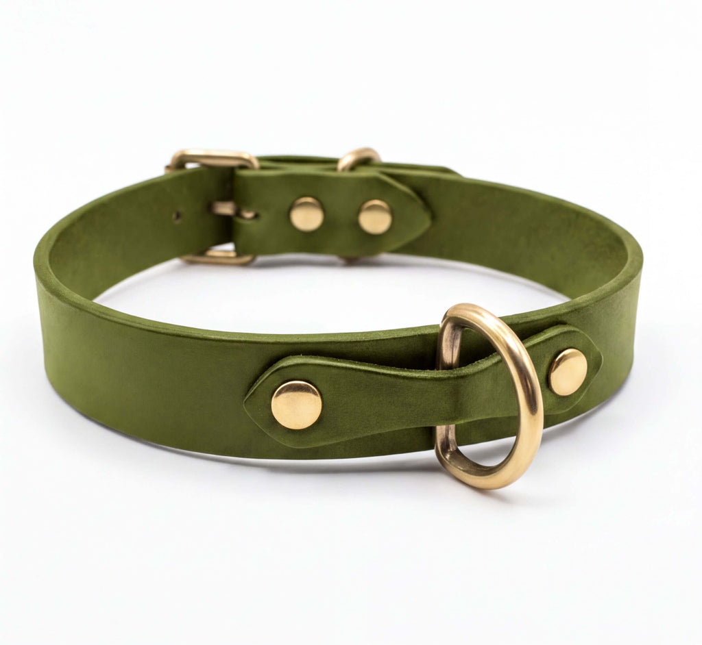 Minimalistische leren halsband met D-ringen