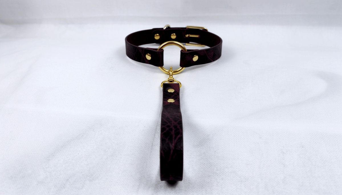 Leren halsband met bijpassende lijn – Klassiek model