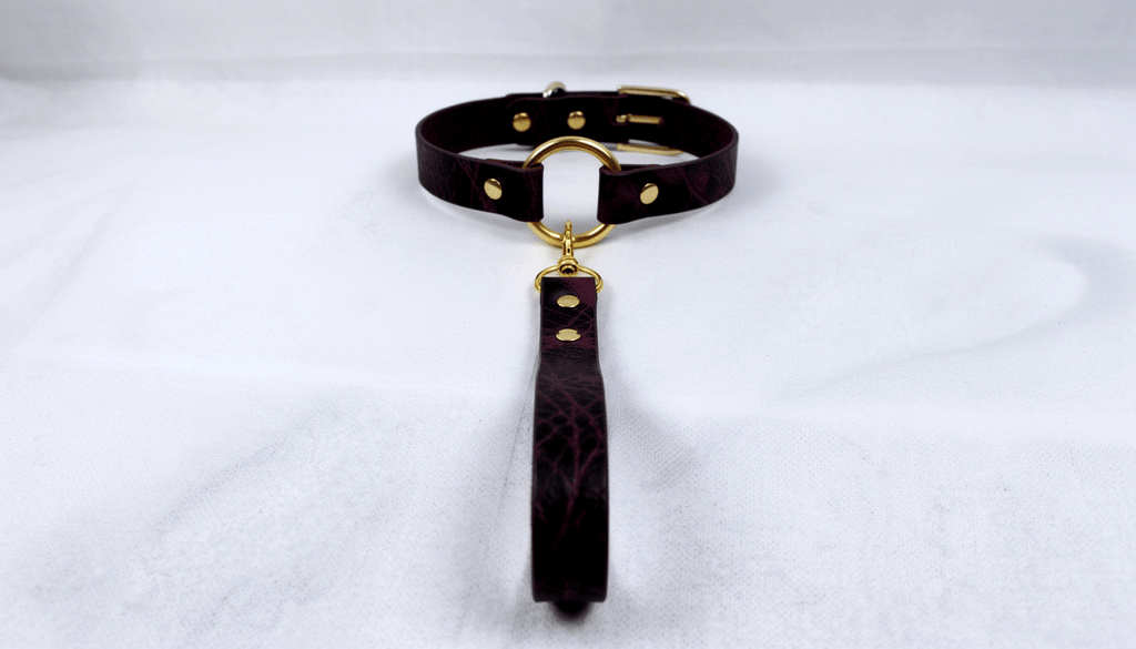Leren halsband met lijn – O-ring