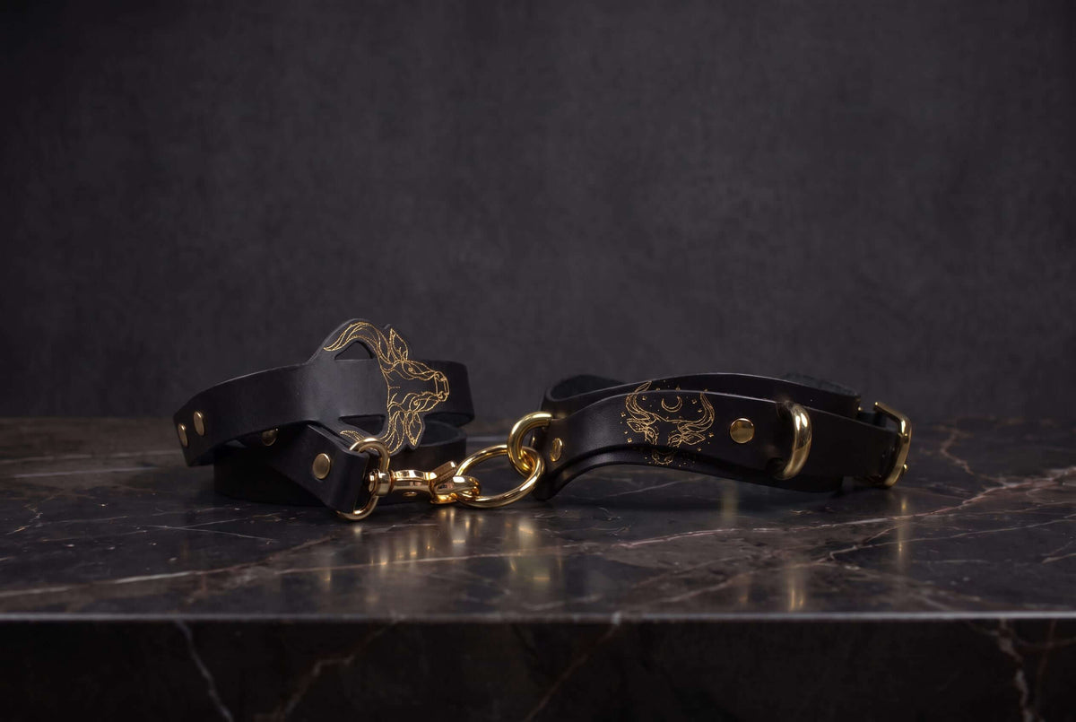 Leren accessoiresset – Halsband, lijn en boeien met stierenmotief